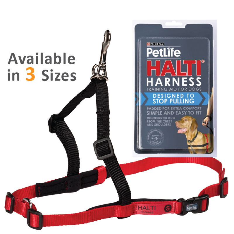 purina halti harness